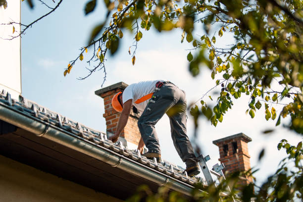 Best New Roof Installation  in Carlisle, IA