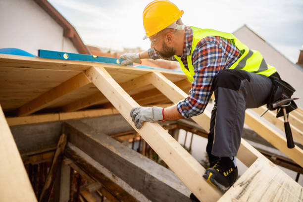 Best Roof Gutter Cleaning  in Carlisle, IA