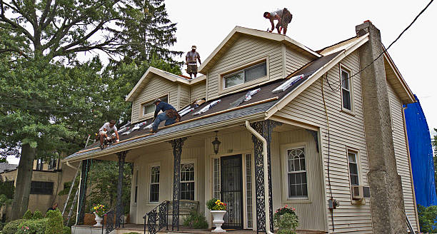 Best Shingle Roofing Installation  in Carlisle, IA